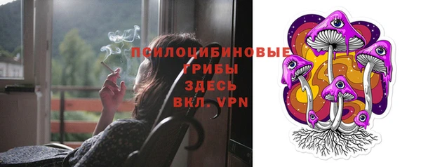 сатива Елабуга