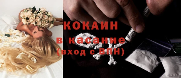 сатива Елабуга