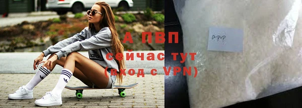 прущие грибы Заволжье