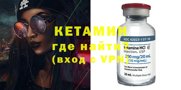 дживик Ельня