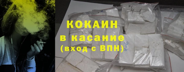 дживик Ельня