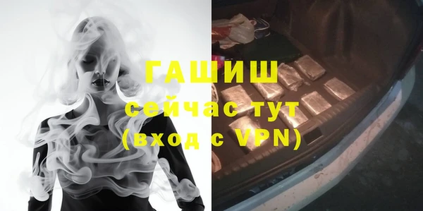 дживик Ельня