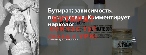 дживик Ельня