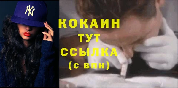 дживик Ельня