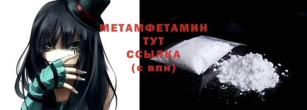 дживик Ельня