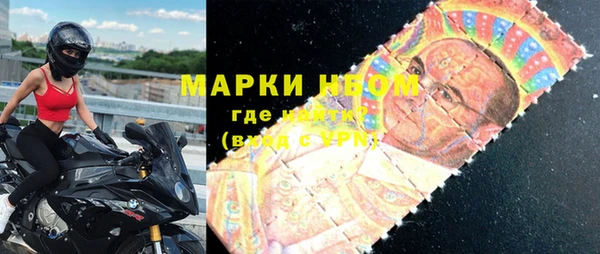 прущие грибы Заволжье