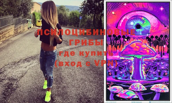 дурь Елизово