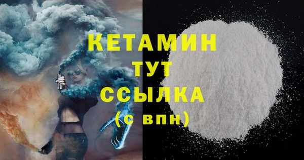 дживик Ельня