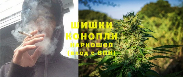 дурь Елизово