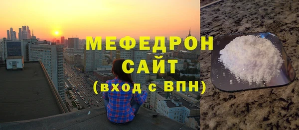дживик Ельня