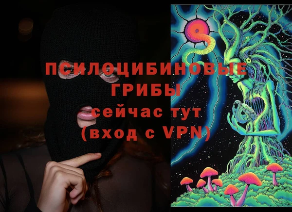 дурь Елизово