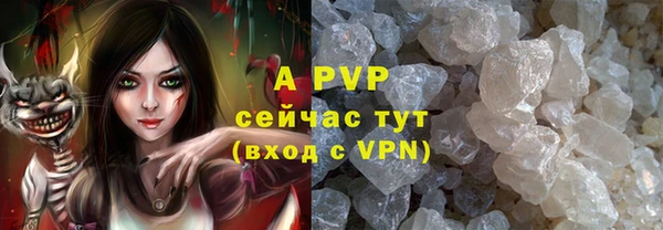 сатива Елабуга