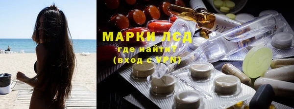 дживик Ельня