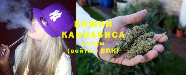 прущие грибы Заволжье