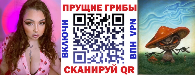 Галлюциногенные грибы Psilocybe  Купить закладки  Дрезна 